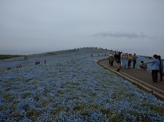vm4712.jpg