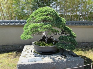 vm4826.jpg