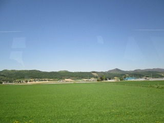 vm5147.jpg