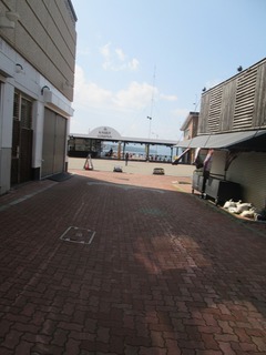vm7205.jpg
