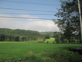 vm7214.jpg