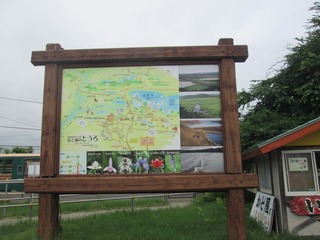 vm7271.jpg