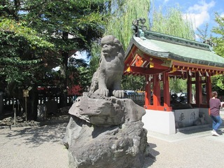 vm7498.jpg