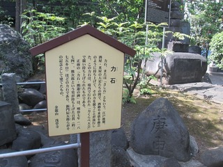 vm7548@.jpg