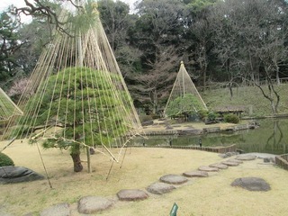 vn0033@.jpg