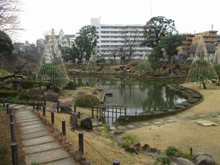 vn0045.jpg