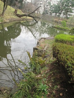 vn0048.jpg