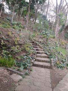 vn0058@.jpg