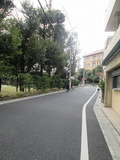 vn0066@.jpg