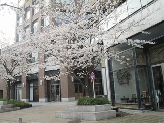 vn0096@.jpg