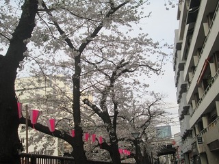 vn0105@.jpg
