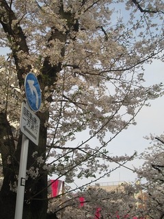 vn0109@.jpg