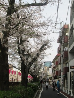 vn0115s@.jpg