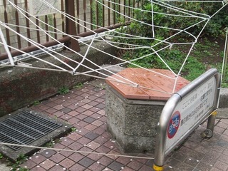 vn0118@.jpg