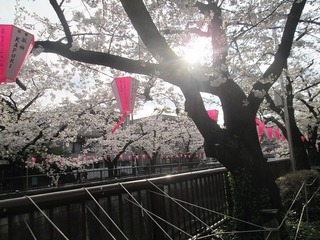 vn0149@.jpg