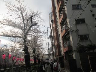 vn0155@.jpg