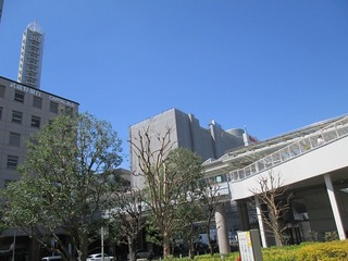 vn0174s.jpg