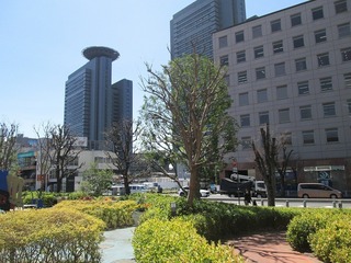 vn0175.jpg