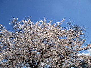 vn0192@.jpg