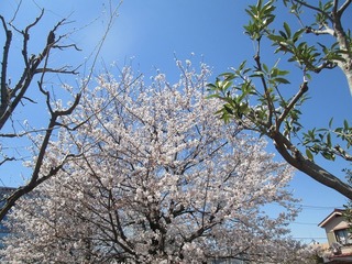 vn0211@.jpg
