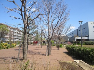vn0219.jpg