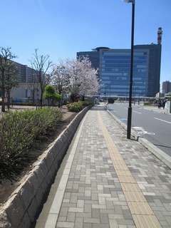 vn0222.jpg