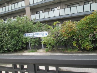vn0468@.jpg