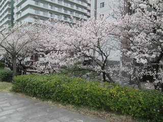 vn0478.jpg