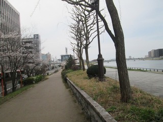 vn0479@.jpg