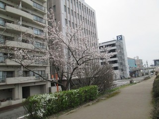 vn0483@.jpg