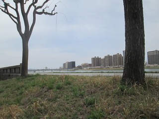 vn0484.jpg
