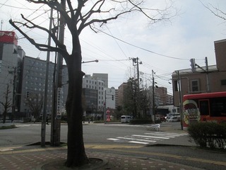 vn0503@.jpg