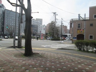 vn0504.jpg
