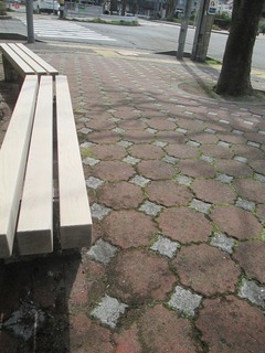 vn0505@.jpg