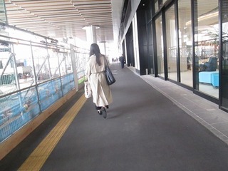 vn0543@.jpg