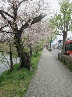 vn0593.jpg