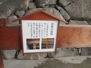 vn0605.jpg