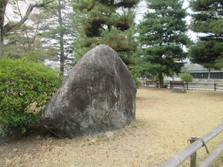 vn0608.jpg