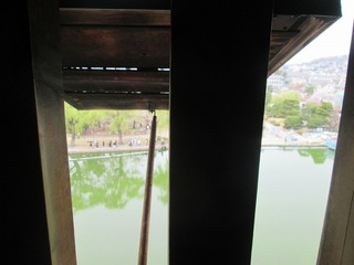 vn0626@.jpg