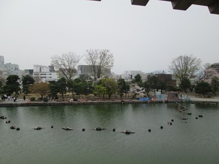 vn0646.jpg