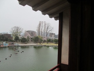 vn0647@.jpg