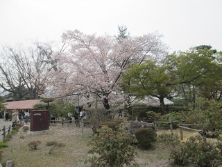 vn0658.jpg