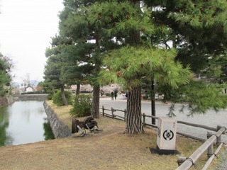 vn0676.jpg