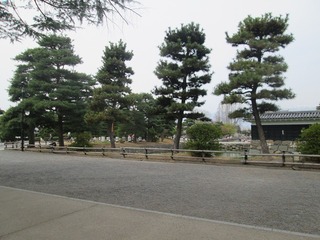 vn0679@.jpg
