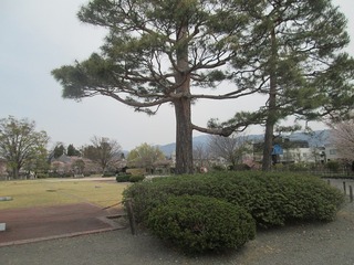 vn0687@.jpg