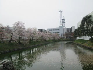 vn0694.jpg