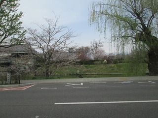 vn0701@.jpg