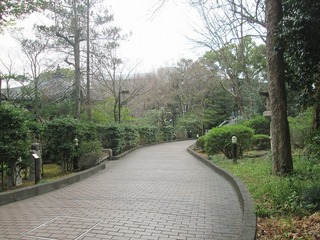 vn071.jpg