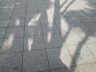 vn0837@.jpg