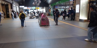 vn0840@.jpg
